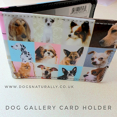 Dog Gallery Card Holder